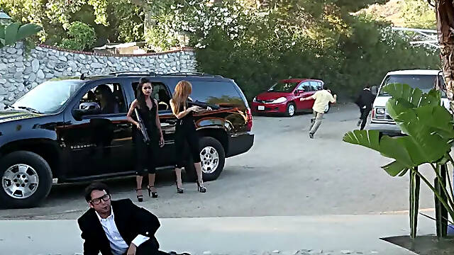 Zero Tolerance: Naughty Nights with the Gang