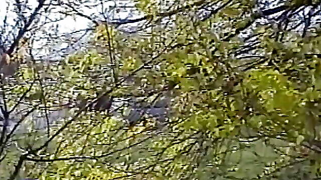 The ultimate bondage 9