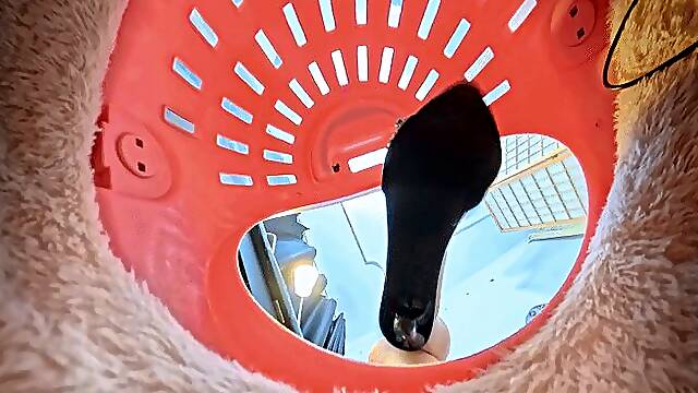 VR 360 cc high-heeled sandals crushed and humiliated the dwarves in the cage